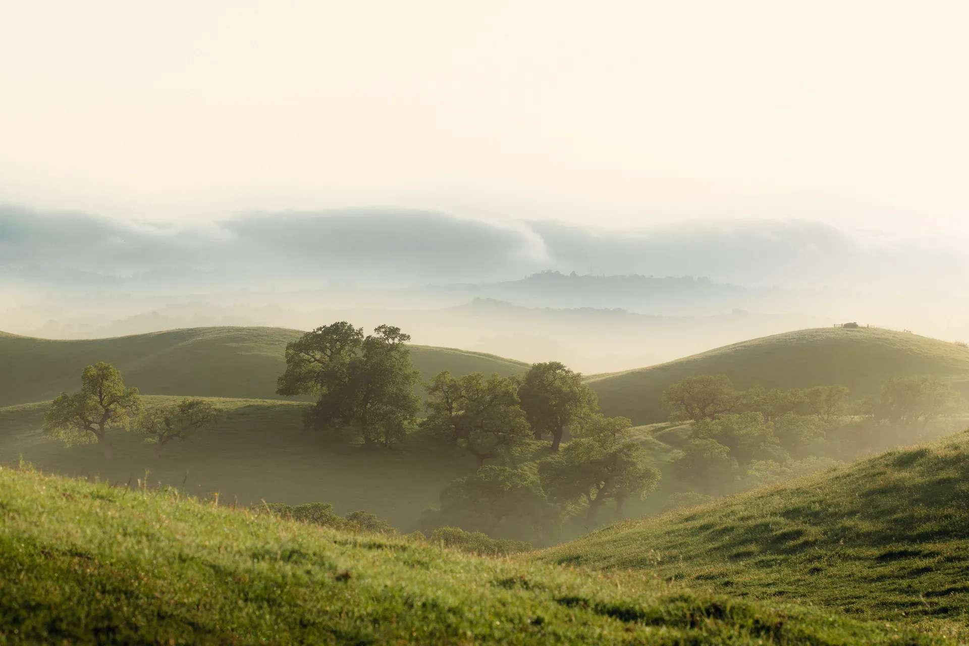 Green hilly valley with lush vegetation on a cloudy day